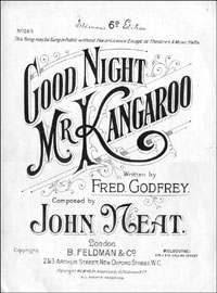 Good Night Mr Kangaroo